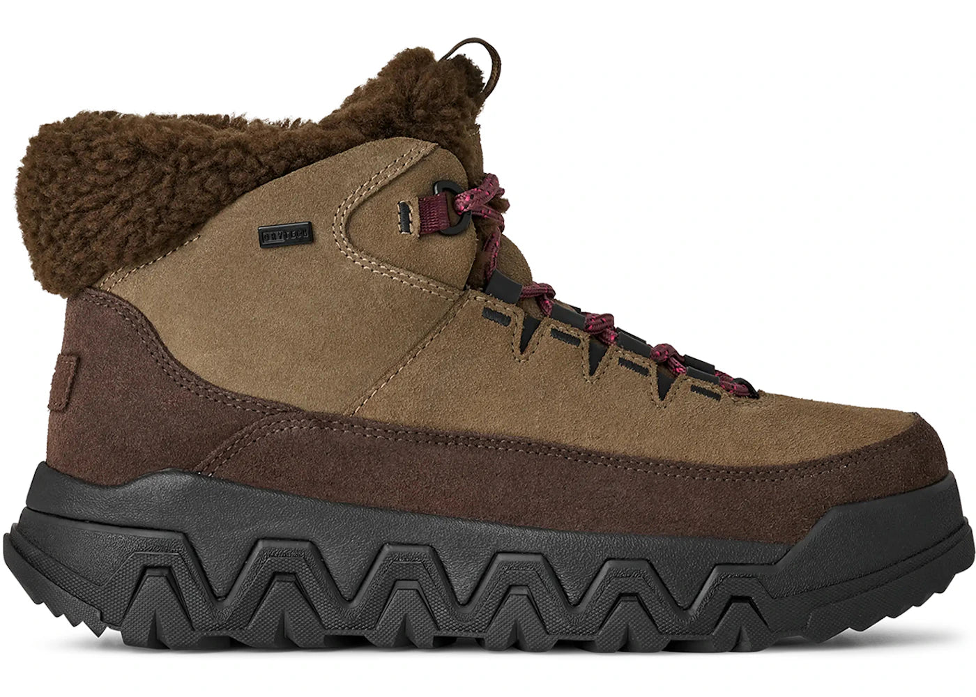 UGG TerreTrail Cozy Lace Boot Dusted Cocoa (Women's)