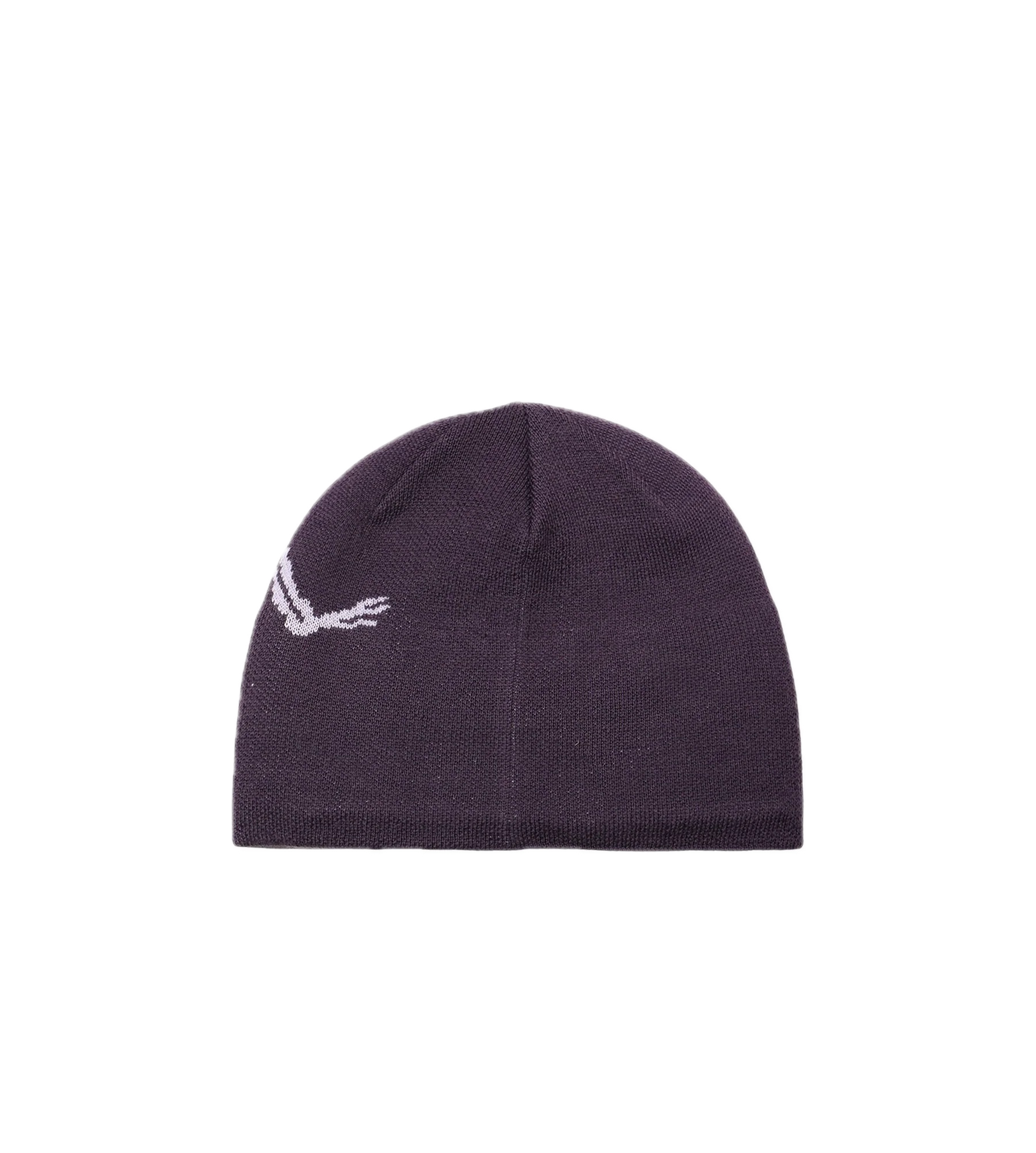 Arc'teryx Bird Head Toque Moondrop Mallow