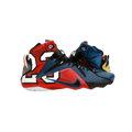 Nike LeBron 12 What the LeBron