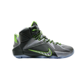 Nike LeBron 12 Dunk Force