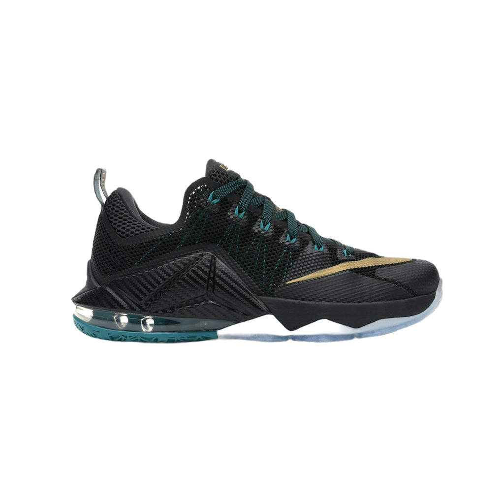 Nike LeBron 12 Low SVSM
