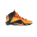 Nike LeBron 12 Witness