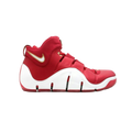 Nike LeBron 4 China