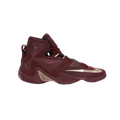 Nike LeBron 13 Bronze