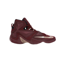Nike LeBron 13 Bronze