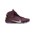 Nike LeBron 12 Double Helix
