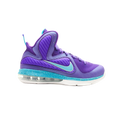 Nike LeBron 9 Summit Lake Hornets (GS)