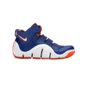 Nike LeBron 4 Birthday