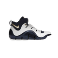 Nike LeBron 4 West Coast