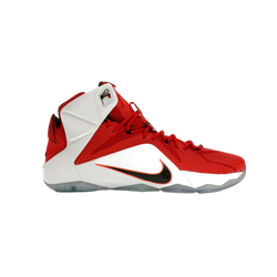 Nike LeBron 12 Heart of a Lion