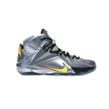 Nike LeBron 12 Flight